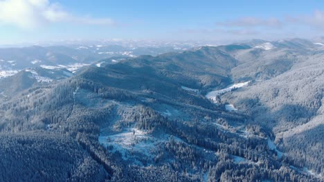 panoramic view of dense forest mountains in snowy winter