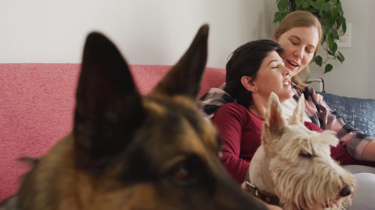 pareja de lesbianas caucásicas hablando entre sí sentados en el sofá con sus perros en casa