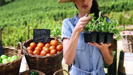 beautiful woman smelling plant