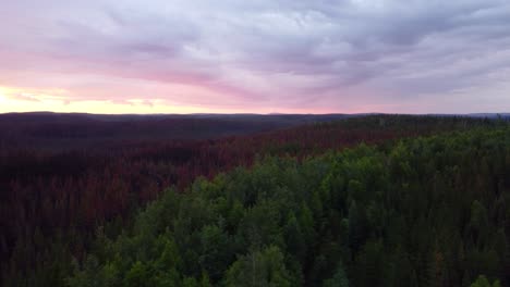 sun setting behind vast autumn forest under cloudy sky