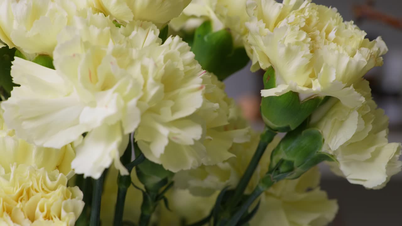 A graceful left-to-right dolly shot glides over a beautiful bouquet of ruffled yellow carnations in a flower shop, highlighting the detailed petals
