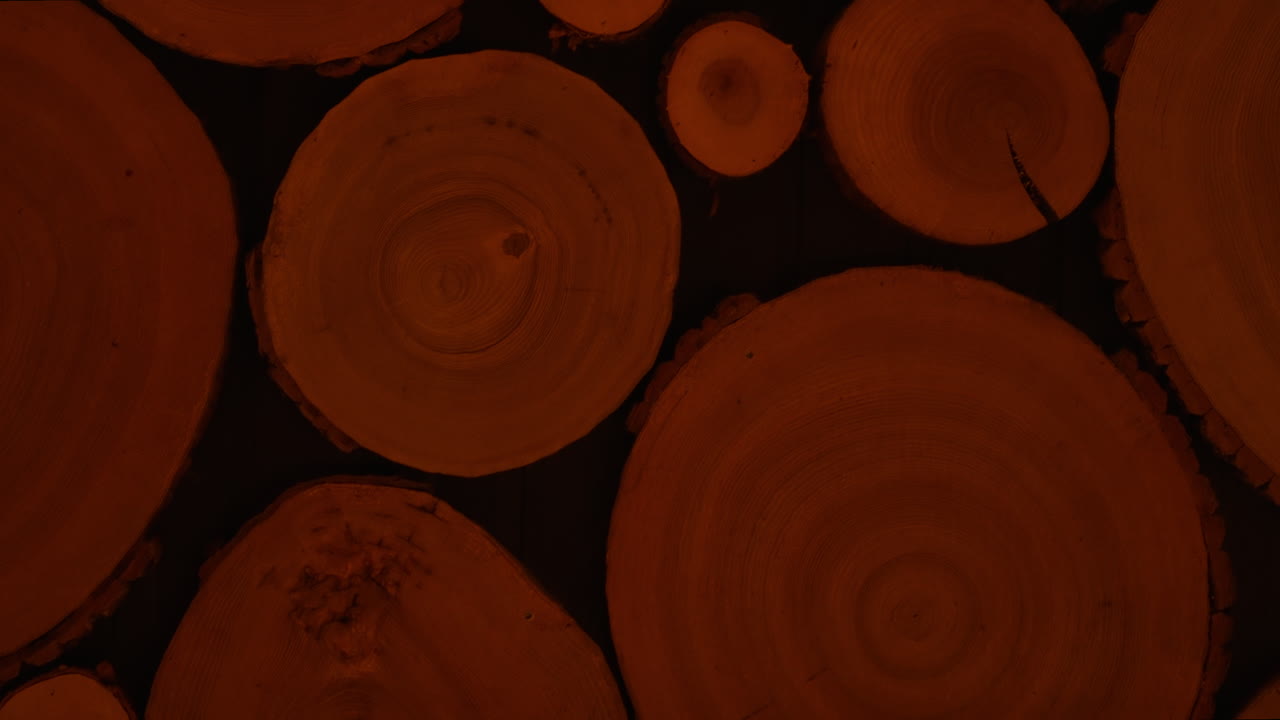 Stacked Wood Slices Background