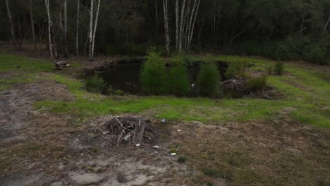 Point-of-view-spring-fed-pond