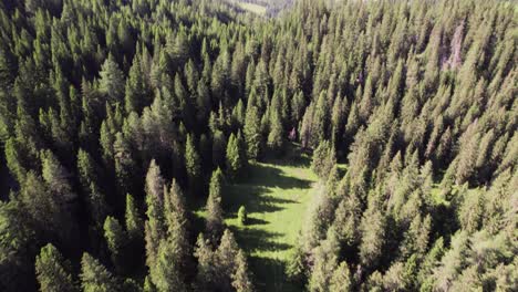 Incline-El-Avión-Teledirigido-Cinematográfico-Sobre-Un-Hermoso-Paisaje-Alpino-Con-Bosques-Y-Picos-Montañosos-En-Una-Soleada-Noche-De-Verano