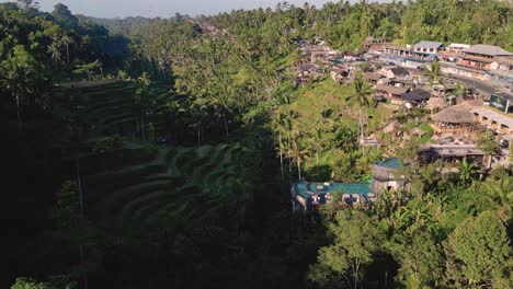 bird eye view of the tegallalang rice terrace in ubud, bali - indonesia