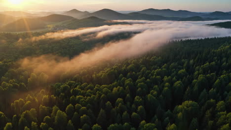 Sunrise over Misty Mountains and Forest