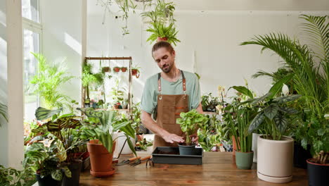 man repotting plants in a plant shop