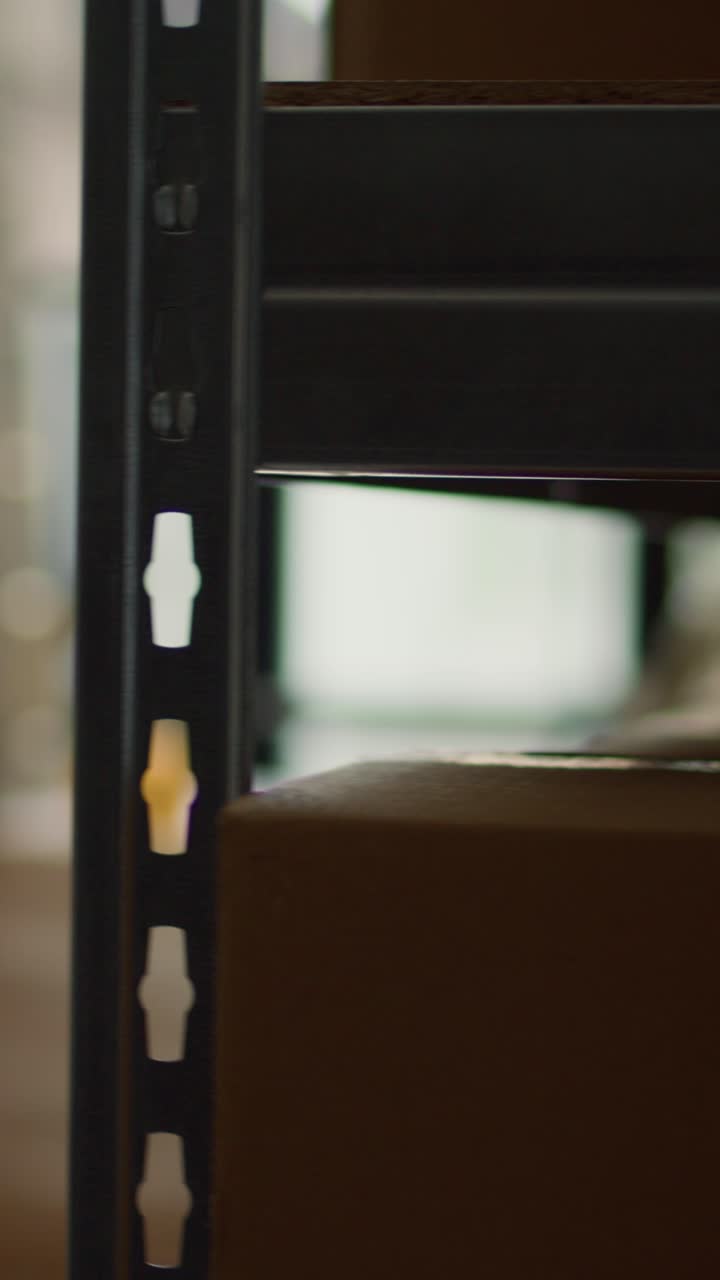 Vertical video Woman checks warehouse inventory