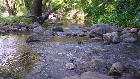 Klares-Süßwasser,-Felsiger-Bach-Durch-Den-Wald-–-Nach-Oben-Kippen