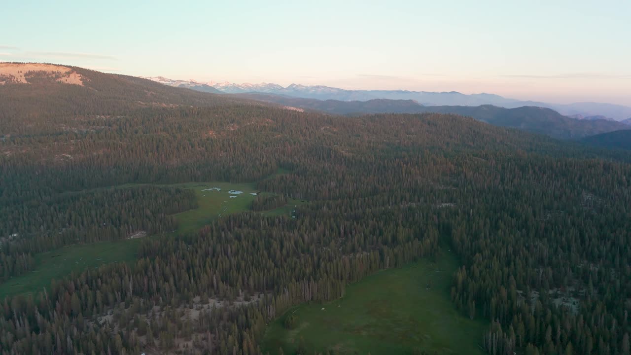 Pristine Dense Forests Of Sequoia National Park At Sunrise In California, United States. Aerial Drone Shot