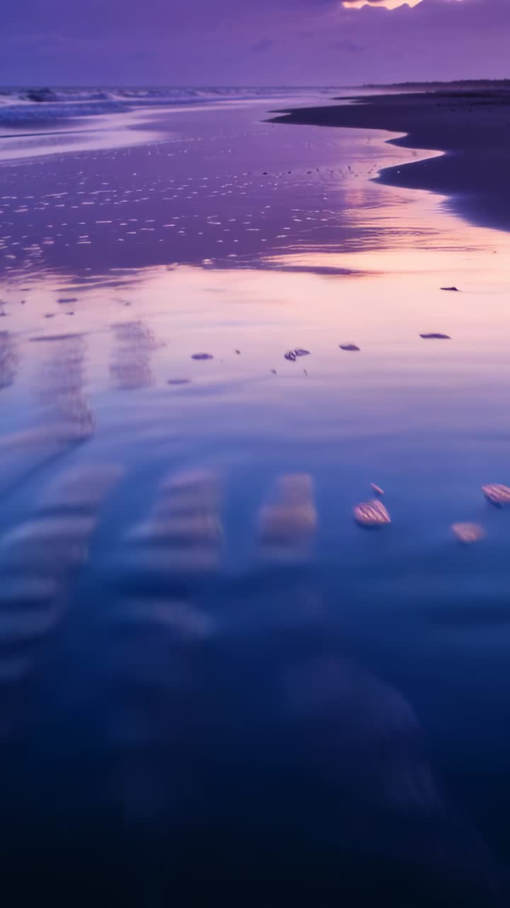 Vertical video: Moving shallow tidal water across wet rippled sand at low tide, tide pulling shells