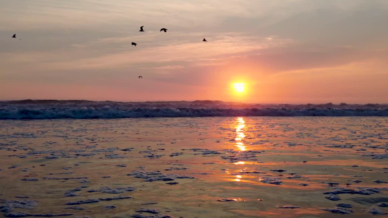 Beautiful Golden Ocean Sunset with waves and birds silhouettes.