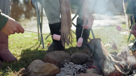 vrienden, vuur en marshmallow voor kamperen