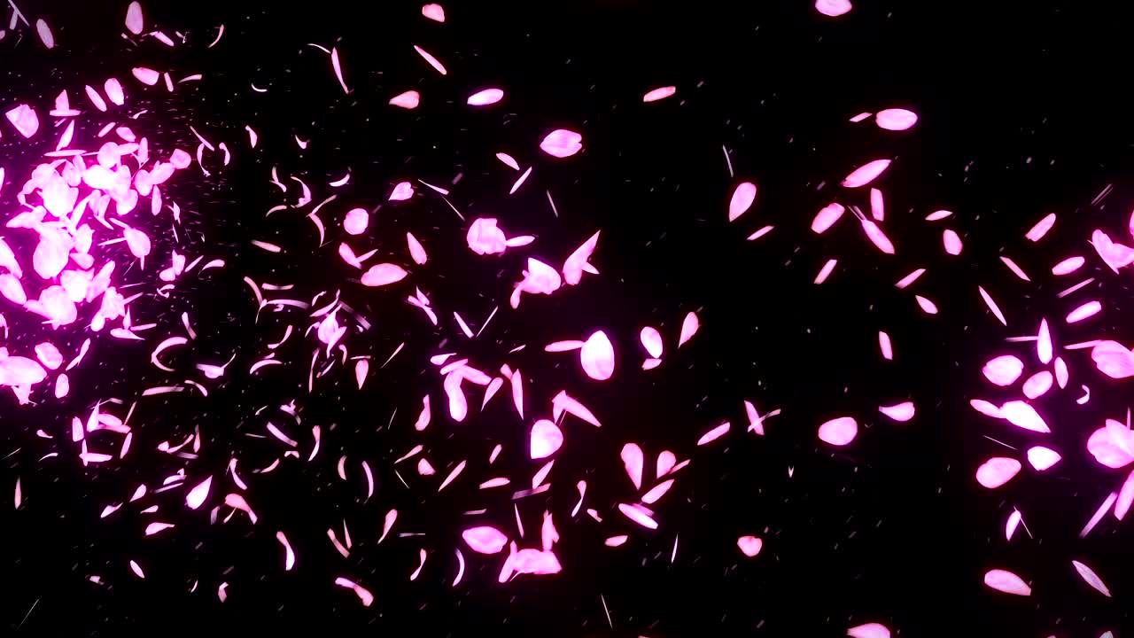 검은 바탕에 떨어지는 체리 꽃 잎, 루프 글리터 애니메이션