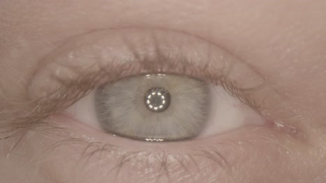 extreme closeup of blue eye with alien light reflecting in the center