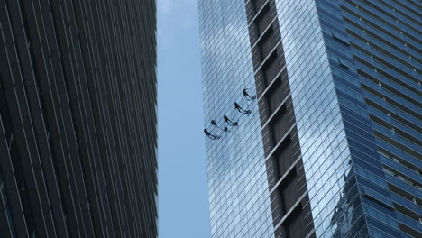 limpiadores de ventanas en edificios de gran altura