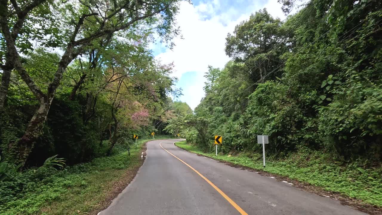 굴곡된 숲길에서 차량의 진행