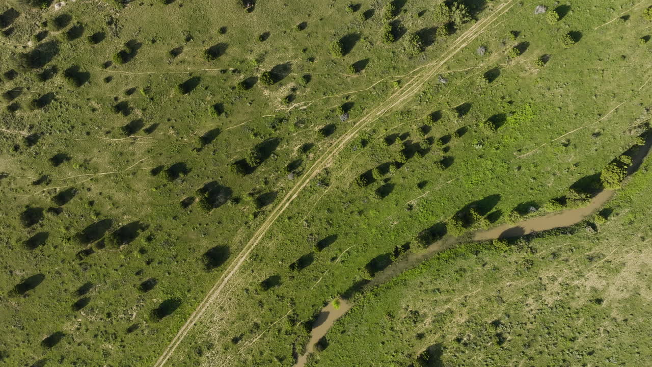 Aerial View of a Grassy Landscape with Dirt Roads and a Creek
