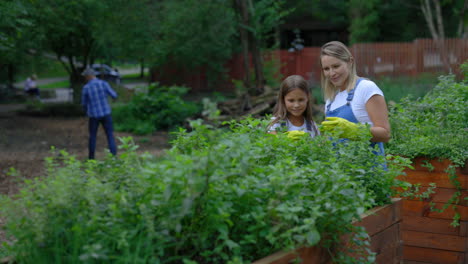mother and daughter gardening in a community garden
