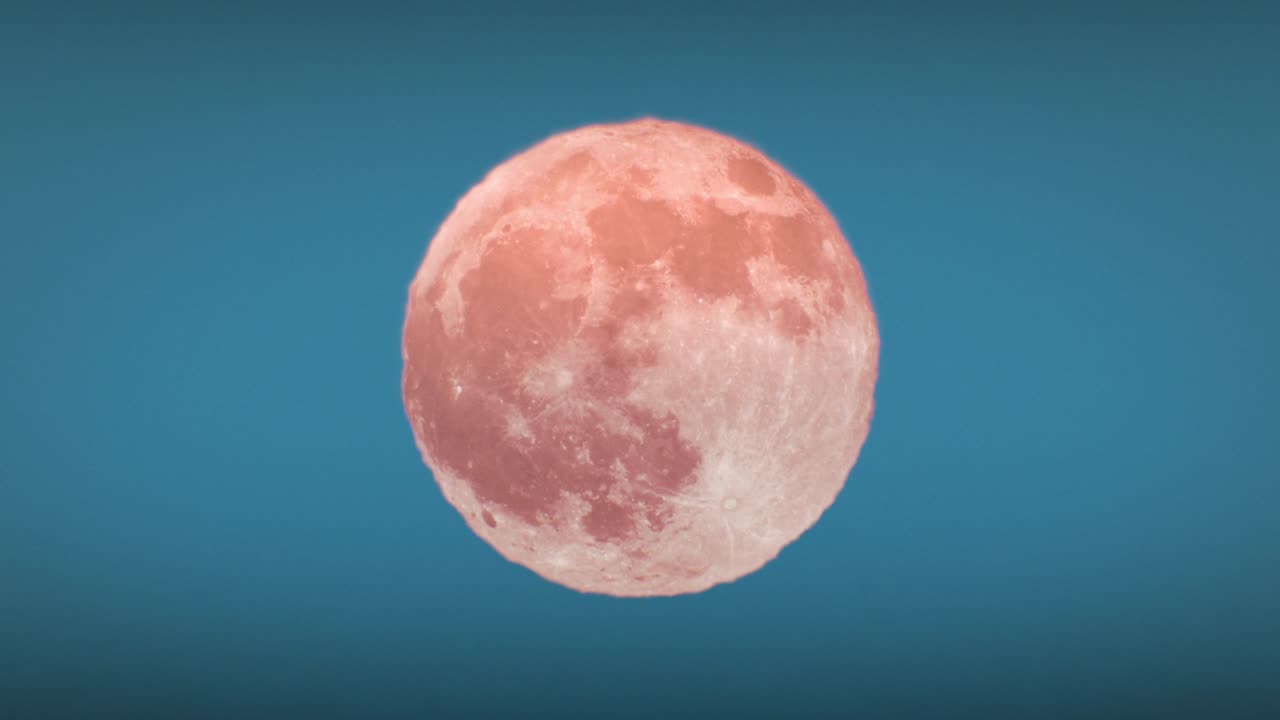Beautiful Huge Moon at Morning (Evening) Orange Color Close-up Animation Seamless. Big Low Moon Glowing in Warm Distortion Above Horizon Looped.
