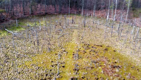 Amber-Mountain-Sanctuary--in-Lublewo-Gdańskie,-Poland