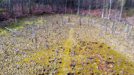 santuario de la montaña de ámbar en lublewo gdańskie, polonia