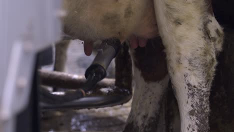 automated process of a modern milking machine