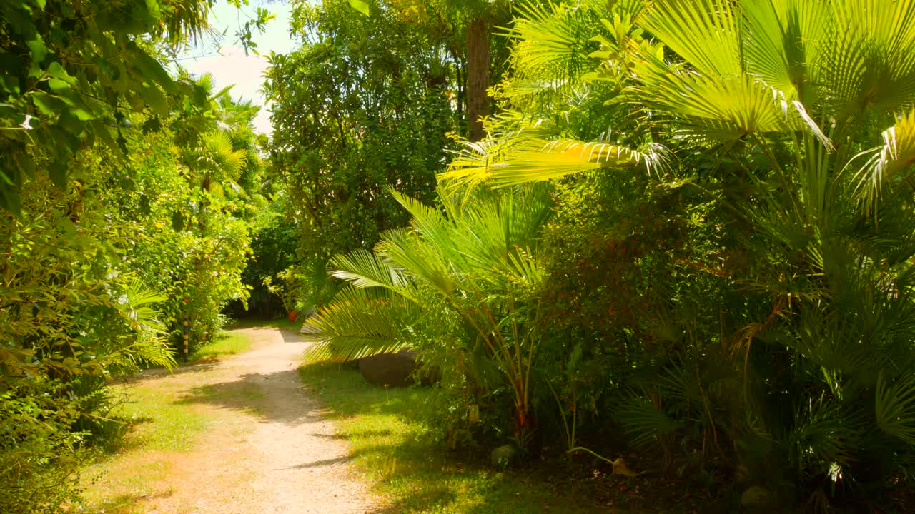 Random outdoor setting with trees and greenery captured under daylight, showing a calm natural environment