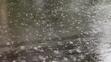 close-up view captures the intricate patterns and ripples formed by falling raindrops on the road