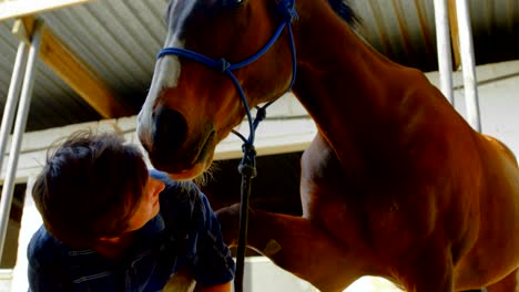 mujer acariciando a un caballo 4k