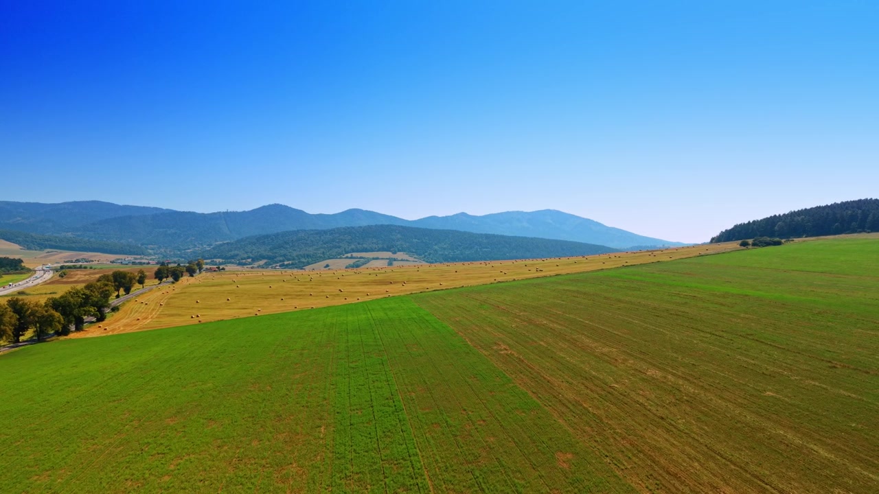 High aerial view of green and yellow agricultural fields. Tree lined road runs alongside farmlands leading toward distant blue mountains under clear sky.