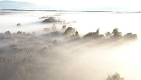 an aerial shot of a forest covered in a thick morning fog