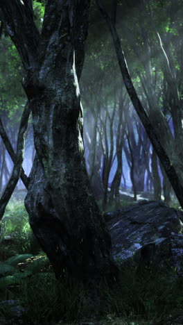 lush forest grove illuminated by ethereal light during tranquil evening