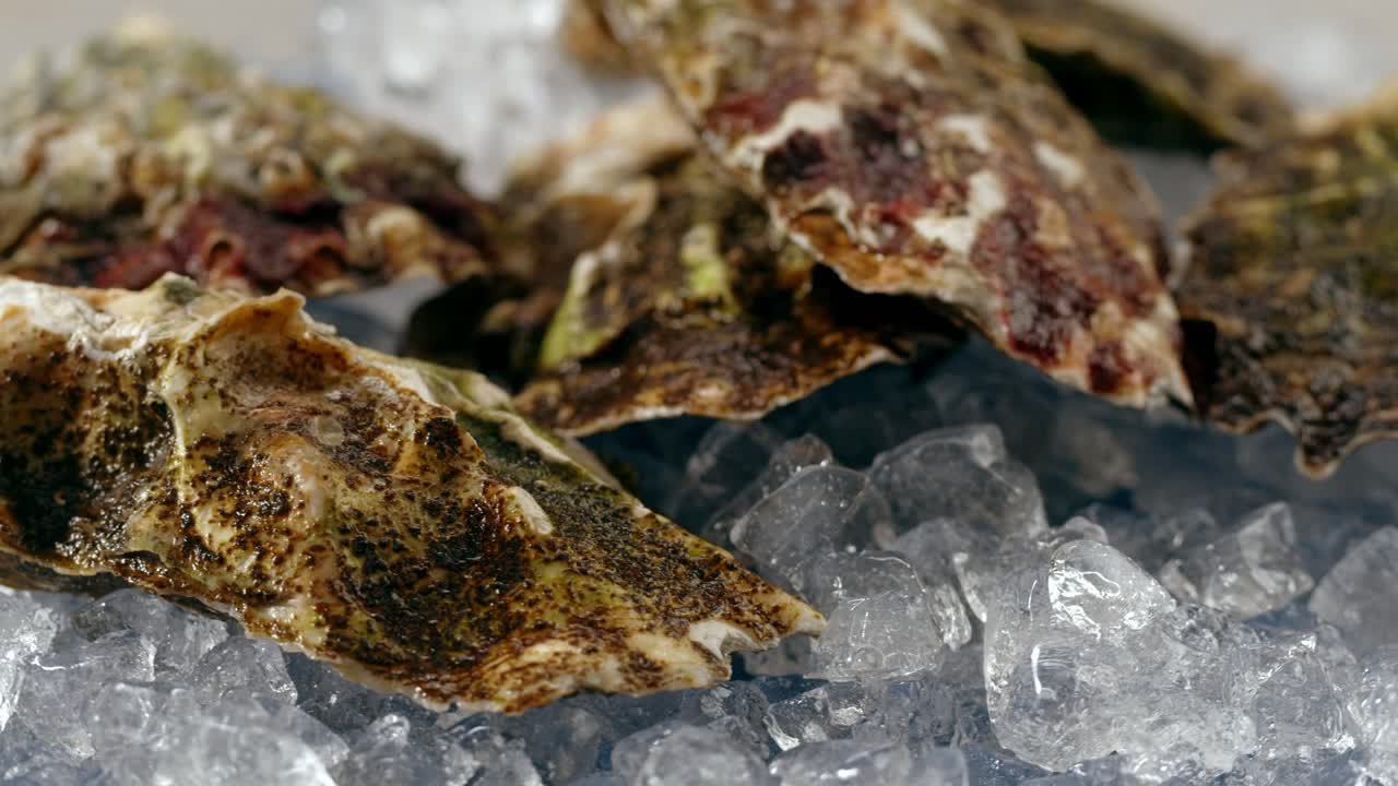 Fresh Oysters on Ice