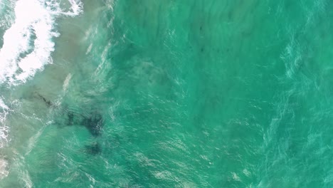 drone captures waves on gold coast beach