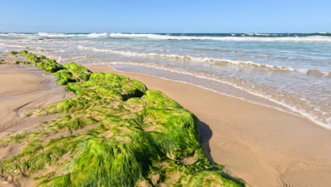 ocean waves hitting moss-covered rocks on beach