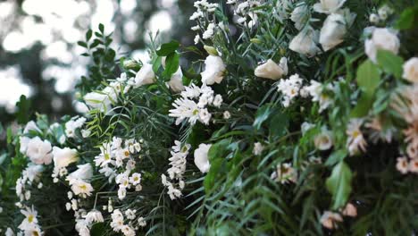 Weiße-Blumen-Und-Grün-In-Einer-Ruhigen-Umgebung-Im-Freien