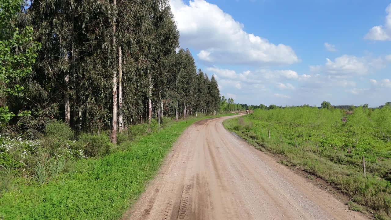 A dirt road winds alongside lush tree plantations, showcasing rural life and natural landscapes in the countryside.