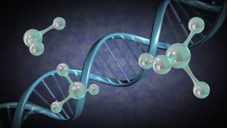 animación de micro 3d de moléculas y hebra de adn en fondo azul