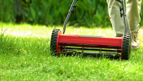 man mowing the grass