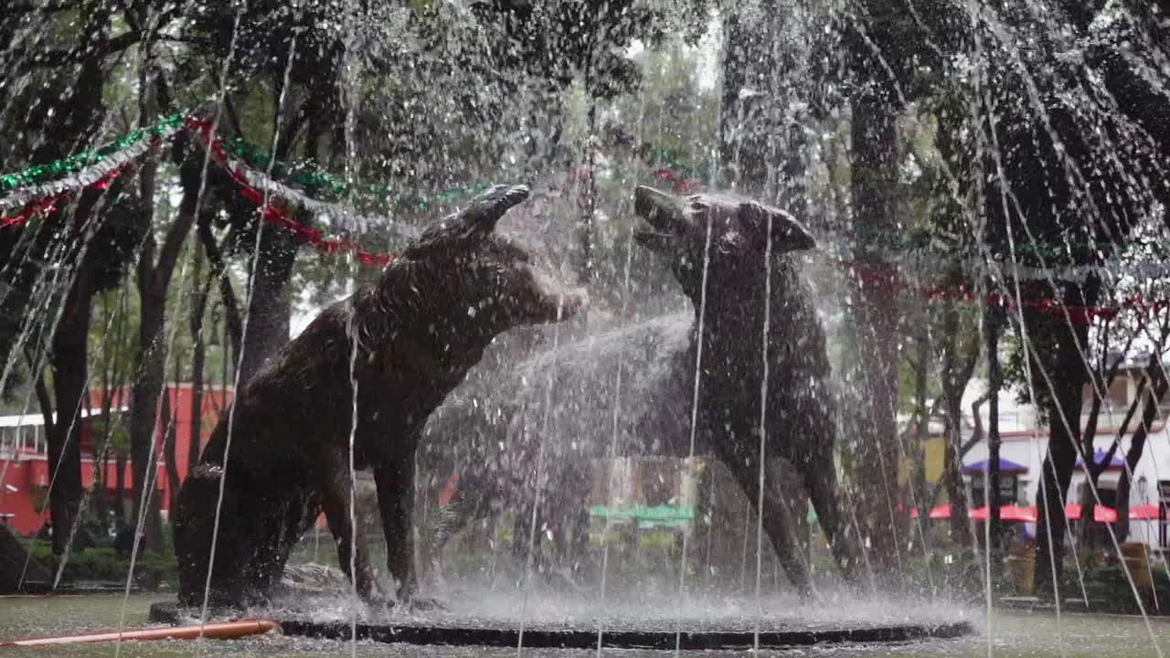 un par de estatuas de coyote de bronce en un parque de coyoacán, ciudad de méxico