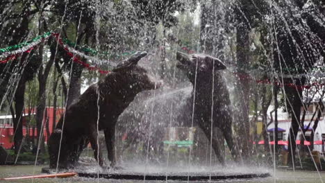a pair of bronze coyote statues in a coyoacan park, mexico city