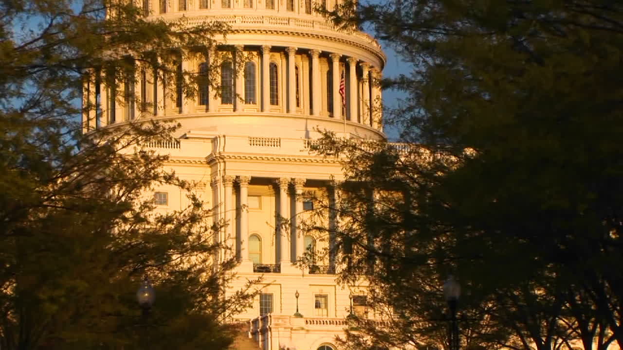 взгляд сквозь деревья на здание капитолия сша в золотой час