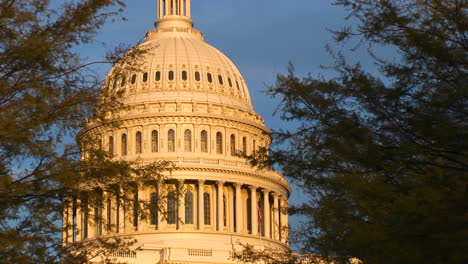 Looking-Through-The-Trees-Up-The-Side-Of-The-Us-Capitol-Building-During-The-Golden-Hour