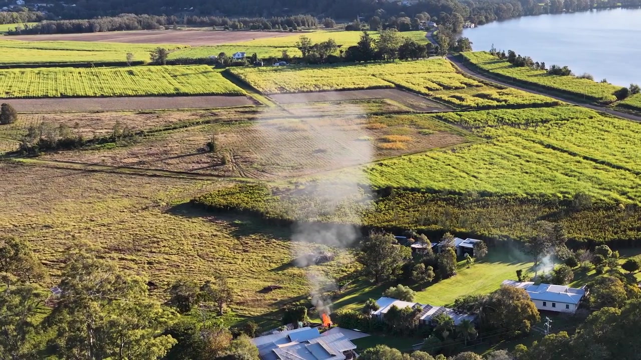 Ripresa aerea con drone di fumo che si disperde sopra campi verdi di canna da zucchero e una riva di fiume