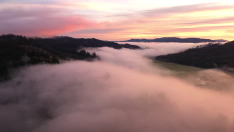 flying above fog at sunrise in oregon