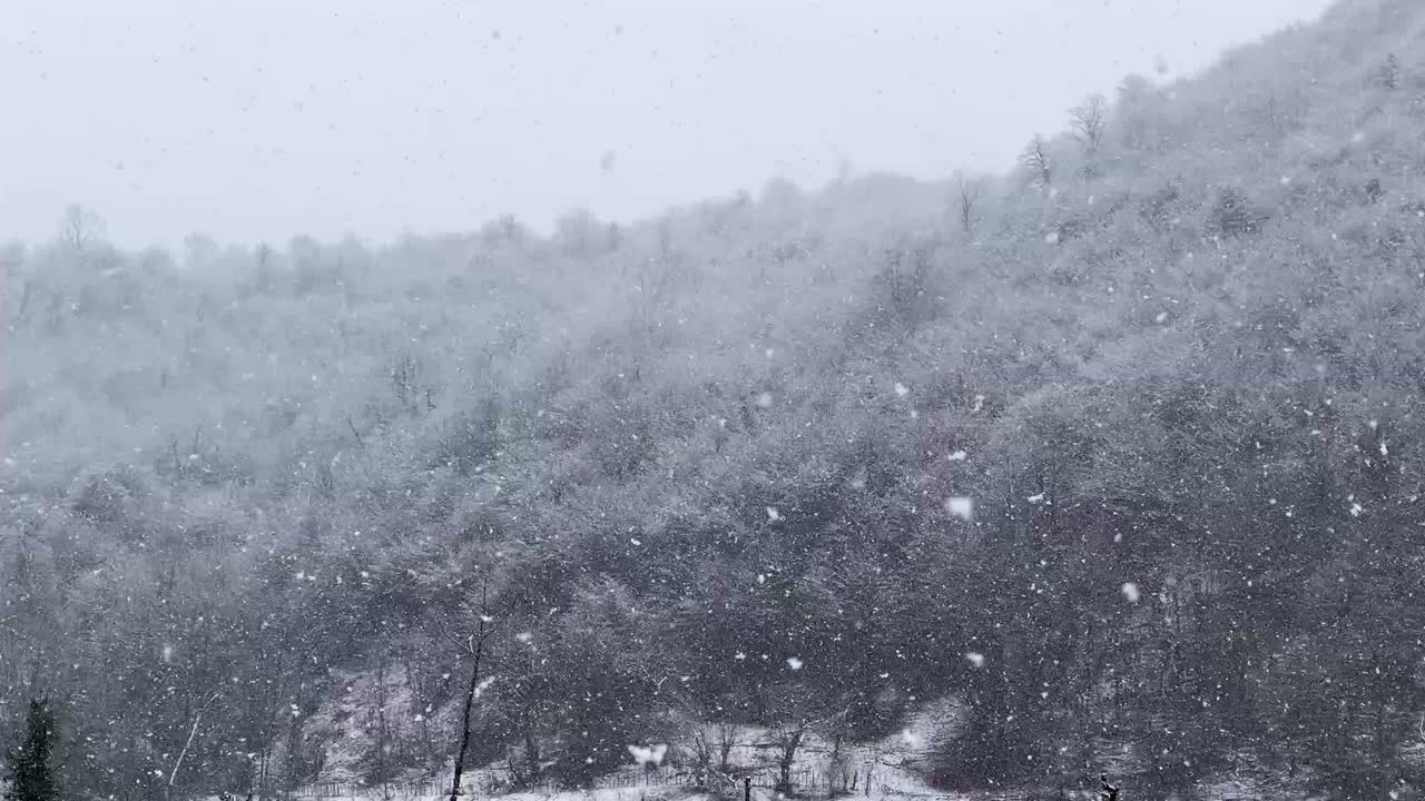 Foresta nebbiosa, ripresa drone, paesaggio meraviglioso, Iran Gilan, stagione invernale, campagna, alberi, nebbia di montagna, nevicata, villaggio rurale, popolo Talesh, natura Ircana, agricoltura, fattoria, stile di vita freddo, baita in legno