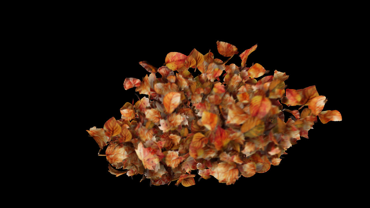 Autumn Leaves Burst Element on Transparent Background