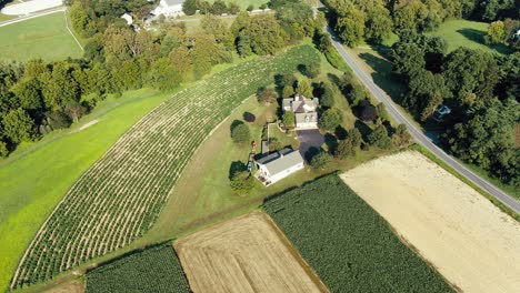 High-aerial-orbiting-shot-of-Lancaster-County-Pennsylvania-farm-growing-medical-marijuana-industrial-hemp