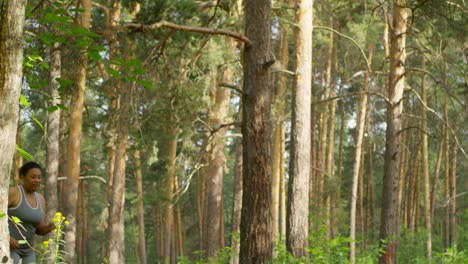 kurvige frau, die im wald läuft